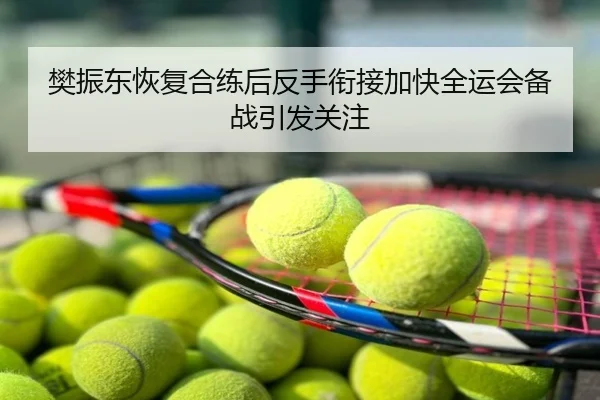 樊振东恢复合练后反手衔接加快全运会备战引发关注