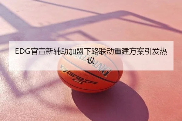 EDG官宣新辅助加盟下路联动重建方案引发热议
